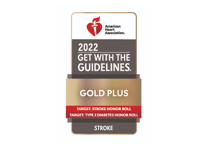 Gold Plus 2022 - American Heart Association Logo